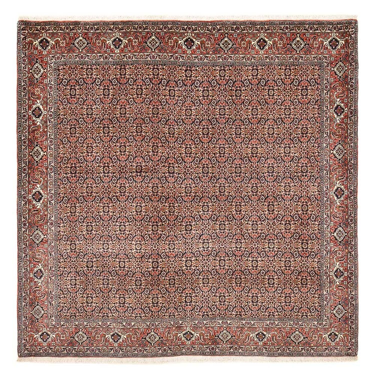 Persisk tæppe - Bijar firkantet  - 204 x 203 cm - rust