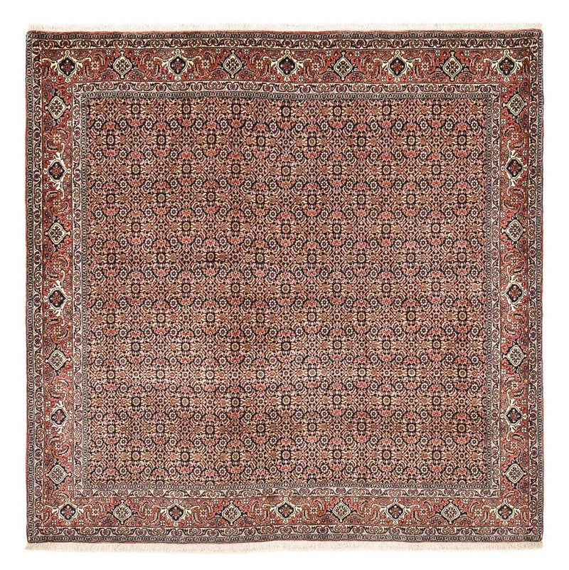 Persisk tæppe - Bijar firkantet  - 204 x 203 cm - rust