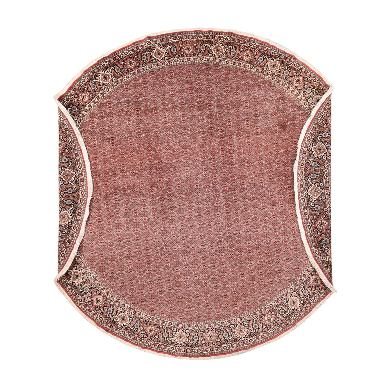 Persisk tæppe - Bijar rundt  - 400 x 400 cm - rust