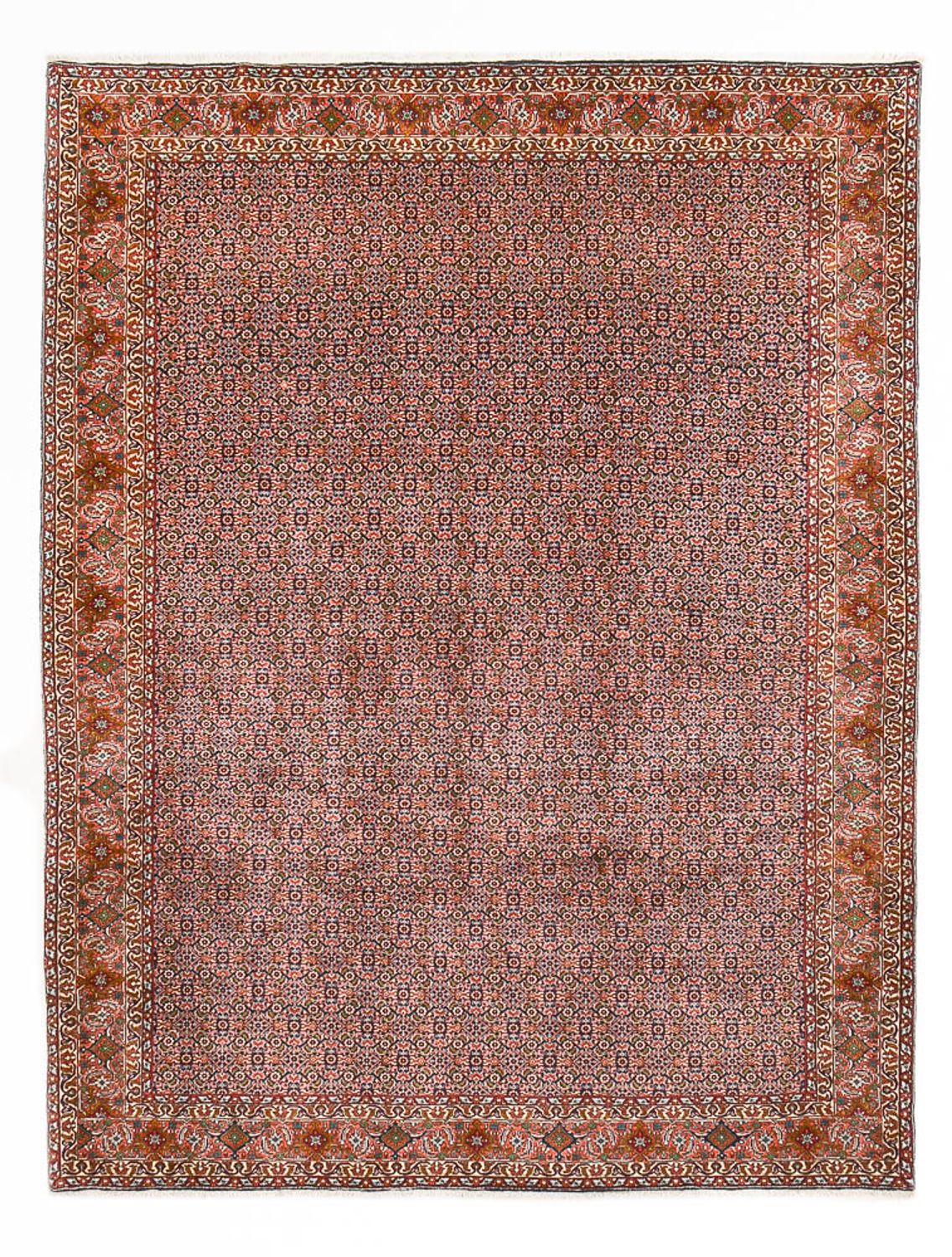 Persisk tæppe - Bijar - 342 x 263 cm - rust