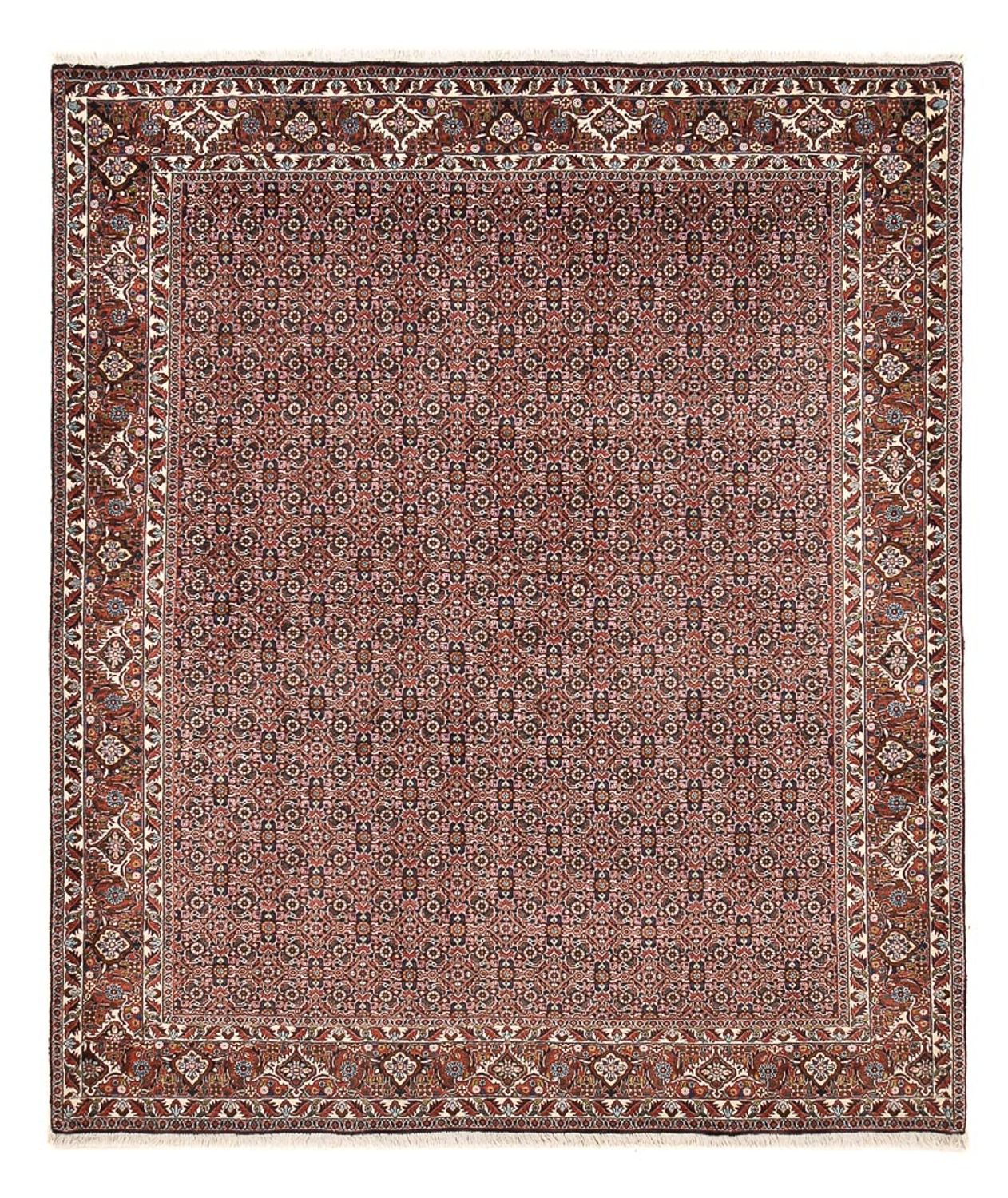 Persisk tæppe - Bijar - 239 x 202 cm - rust
