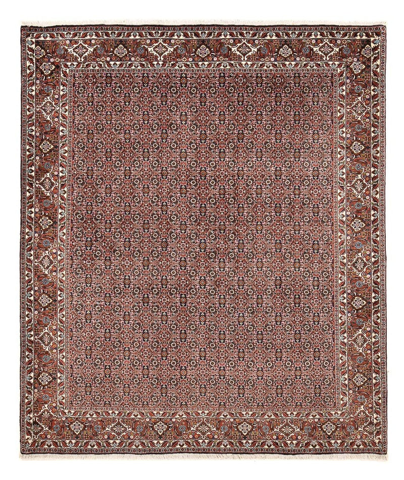 Persisk tæppe - Bijar - 239 x 202 cm - rust