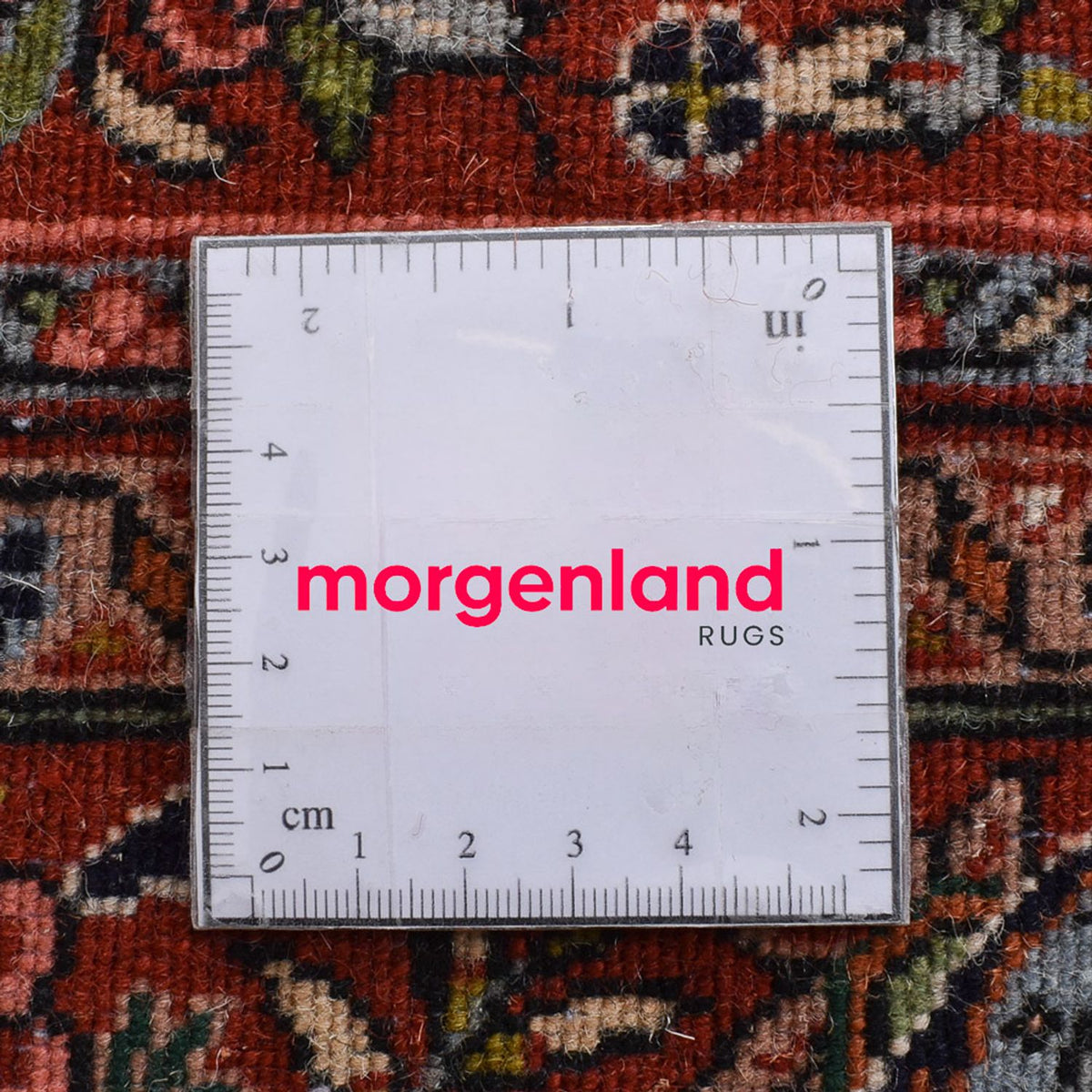 Persisk tæppe - Bijar - 208 x 137 cm - creme