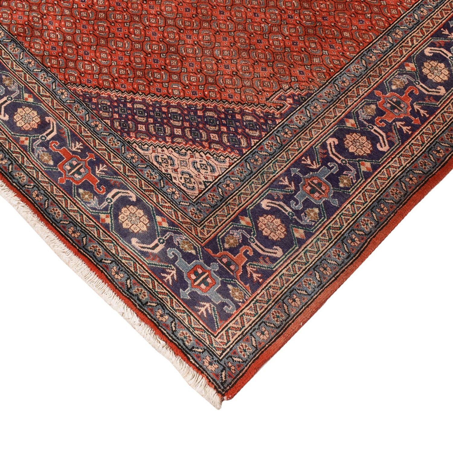 Persisk tæppe - Nomadisk - 288 x 199 cm - orange