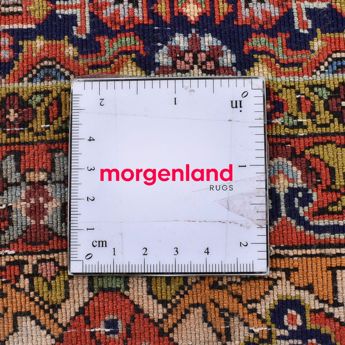 Persisk tæppe - Bijar - 294 x 260 cm - rød