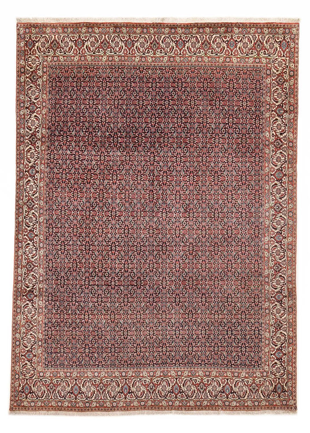 Persisk tæppe - Bijar - 337 x 247 cm - rust