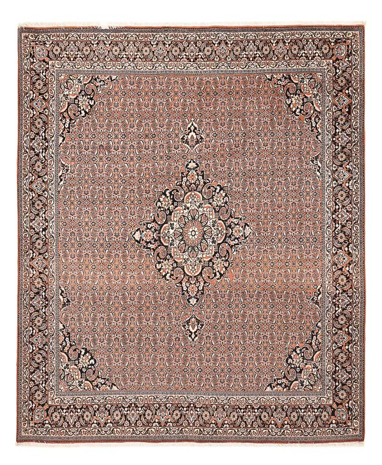Persisk tæppe - Bijar - 312 x 252 cm - rust