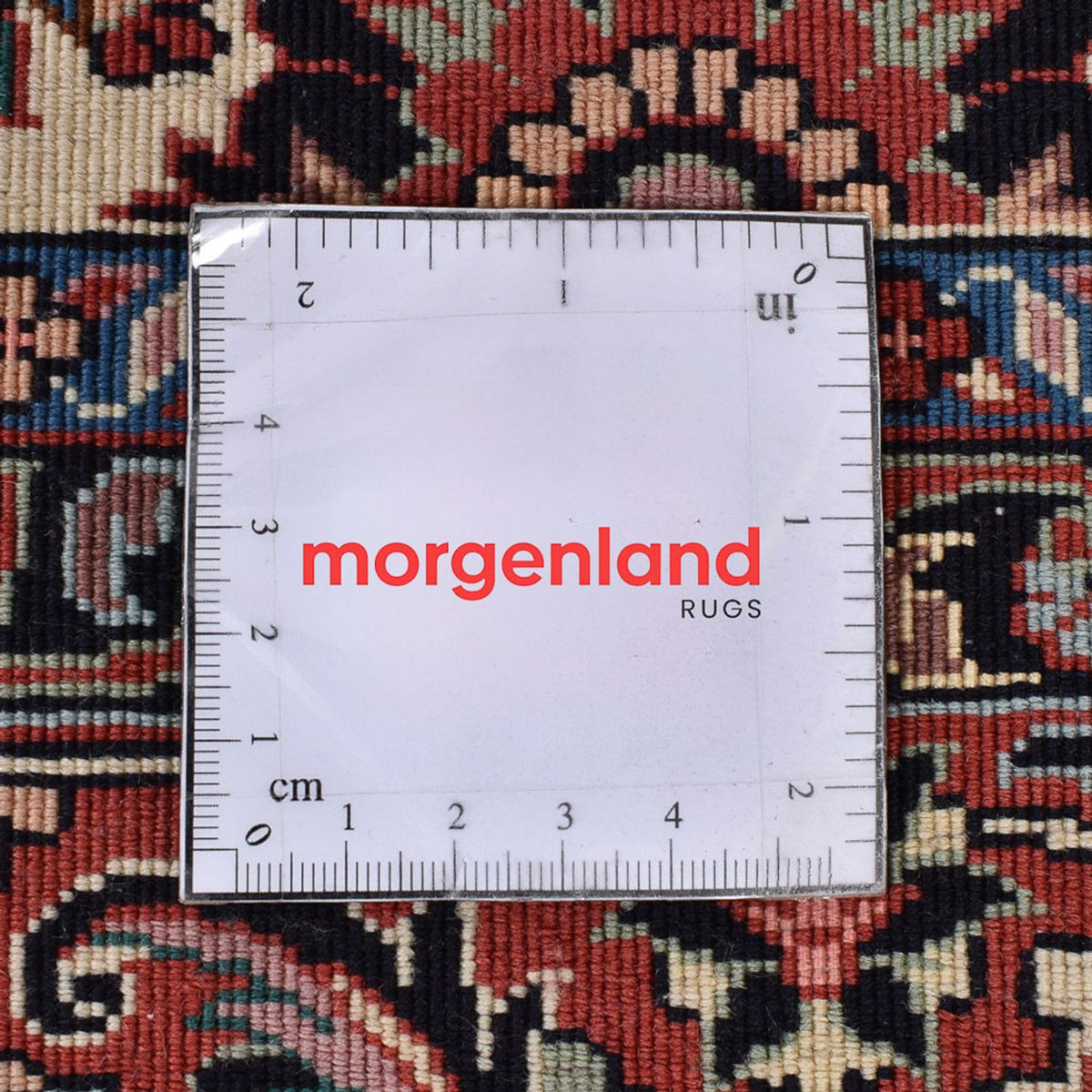 Persisk tæppe - Bijar - 249 x 172 cm - rust