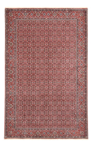 Persisk tæppe - Bijar - 347 x 221 cm - rust