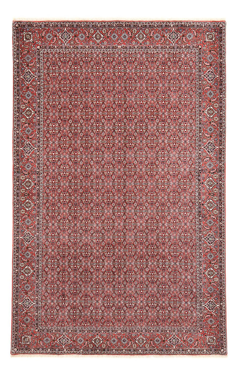 Persisk tæppe - Bijar - 347 x 221 cm - rust