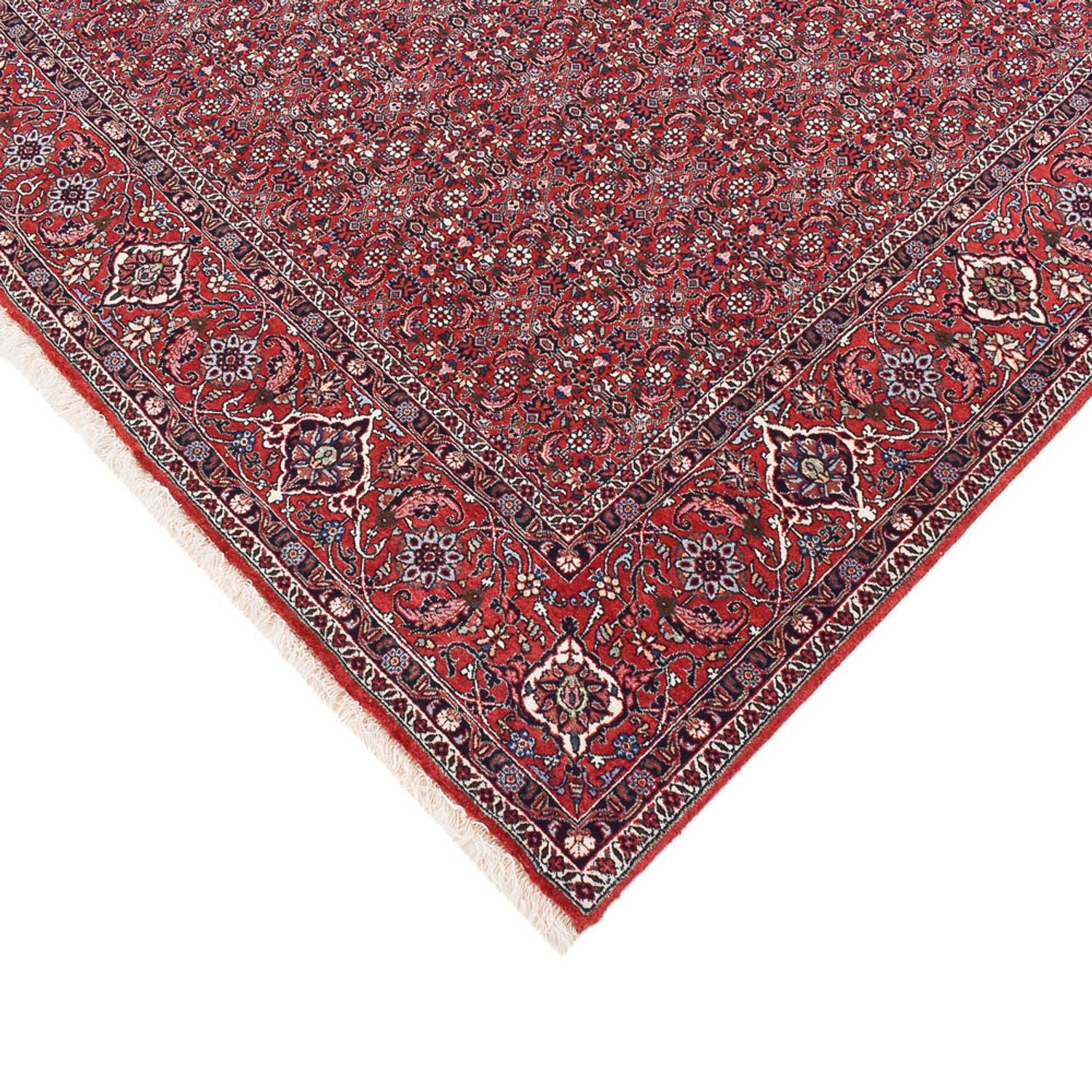 Persisk tæppe - Bijar - 347 x 221 cm - rust