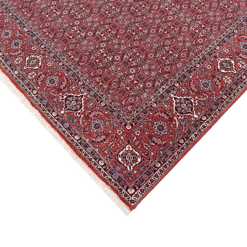 Persisk tæppe - Bijar - 347 x 221 cm - rust