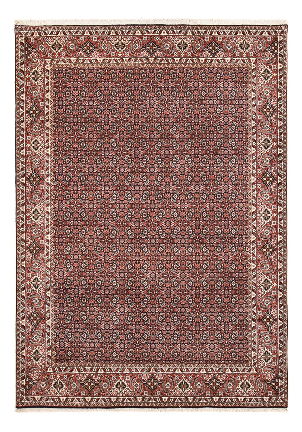 Persisk tæppe - Bijar - 286 x 200 cm - rust