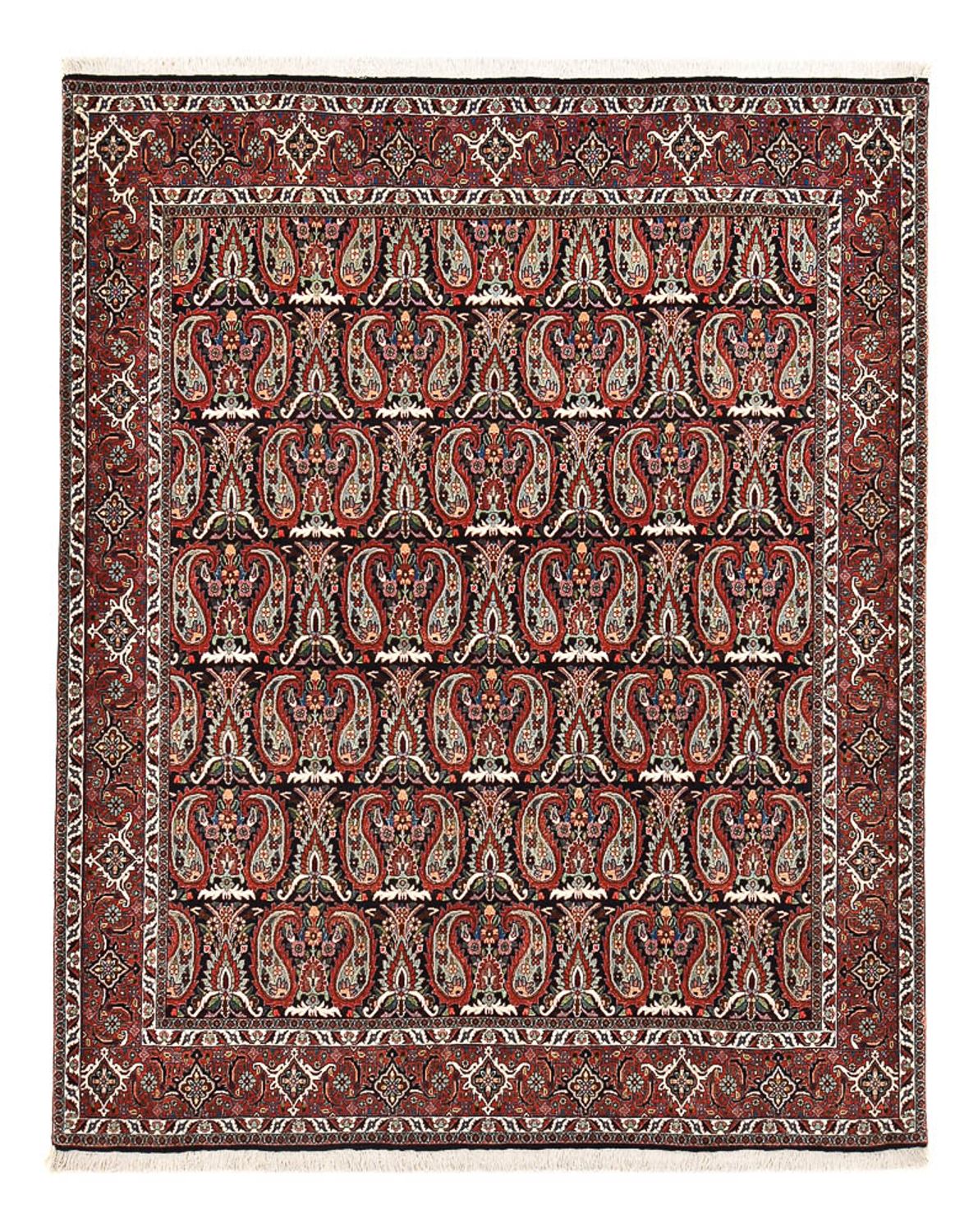 Persisk tæppe - Bijar - 248 x 208 cm - rust