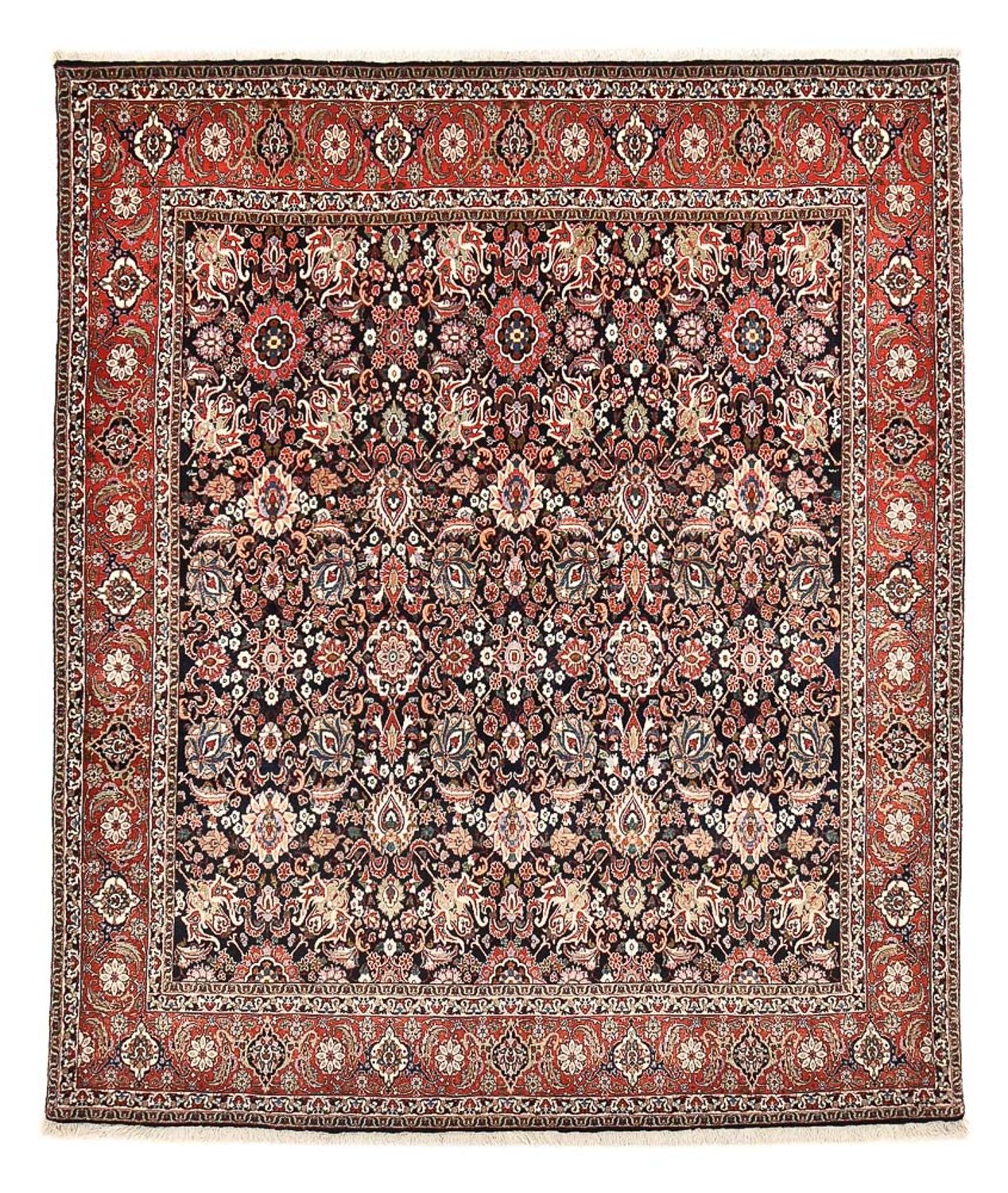 Persisk tæppe - Bijar - 247 x 210 cm - rust