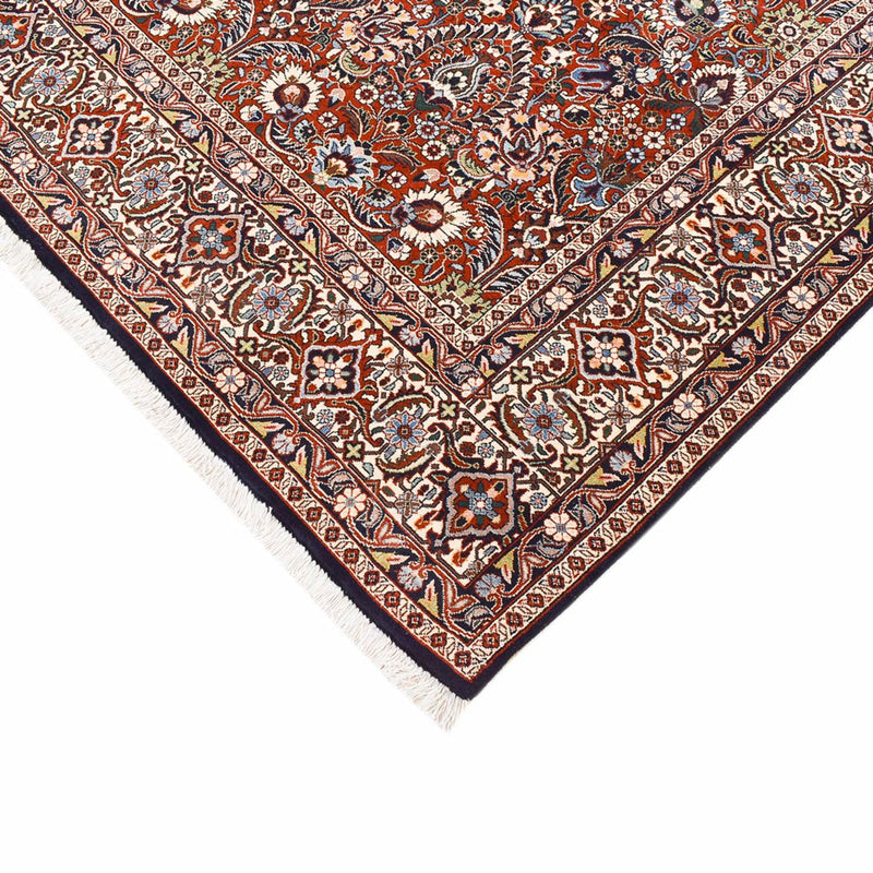 Persisk tæppe - Bijar - 300 x 205 cm - rust