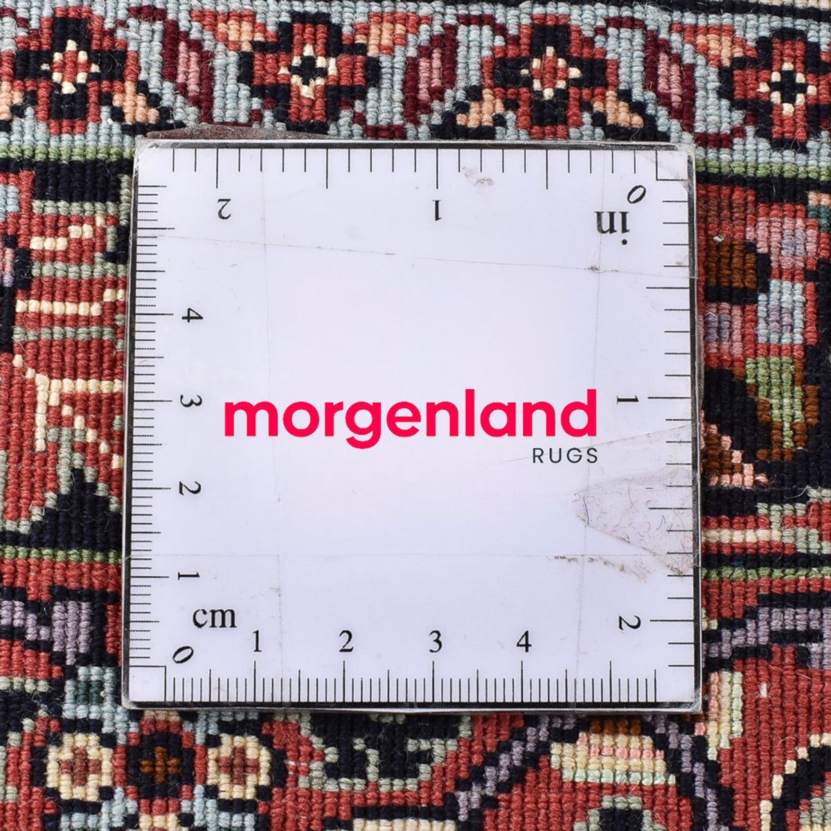 Persisk tæppe - Bijar - 303 x 202 cm - creme