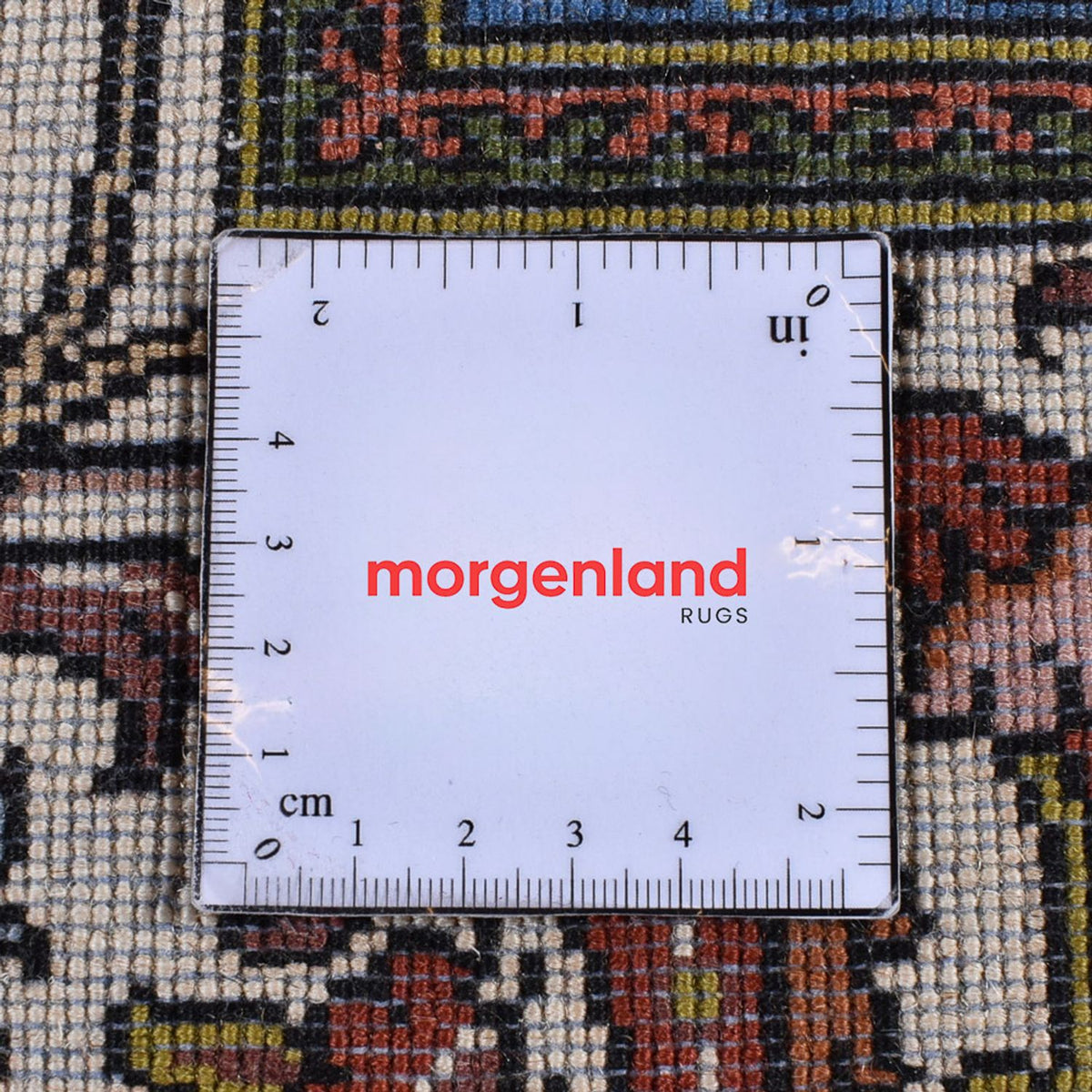 Ziegler Carpet - Bakhtiari - 338 x 247 cm - lysrød