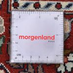 Persisk tæppe - Classic - 290 x 204 cm - rust