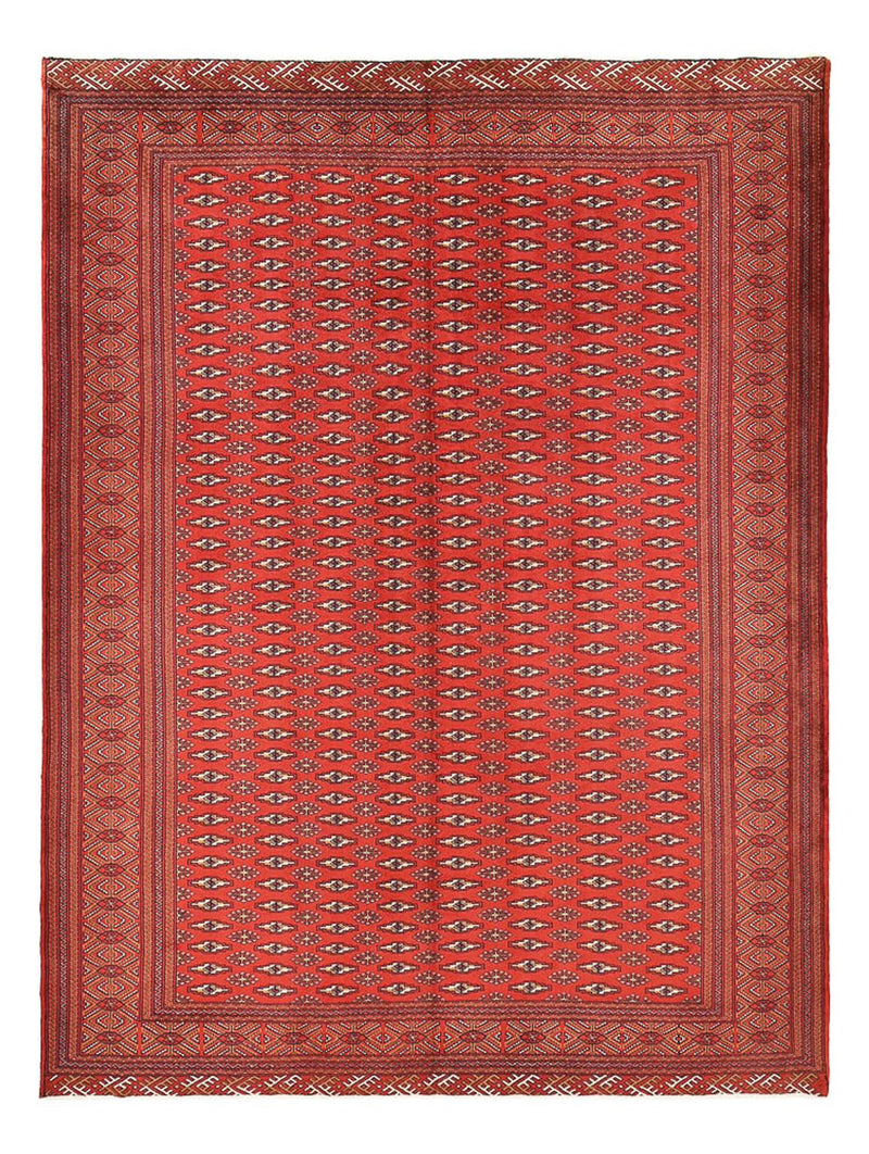 Turkaman-tæppe - 338 x 253 cm - rød