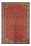 Persisk tæppe - Mir - 306 x 202 cm - rød