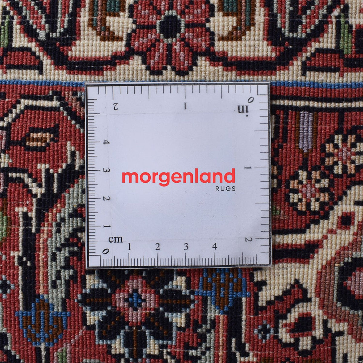 Persisk tæppe - Bijar - 305 x 205 cm - rust