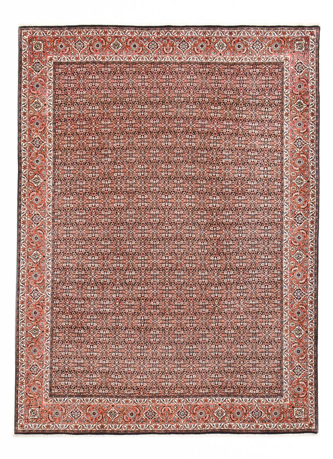 Persisk tæppe - Bijar - 350 x 252 cm - rust