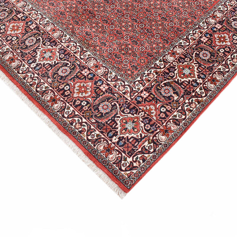 Persisk tæppe - Bijar - 300 x 203 cm - rust