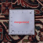 Persisk tæppe - Bijar - 300 x 203 cm - rust