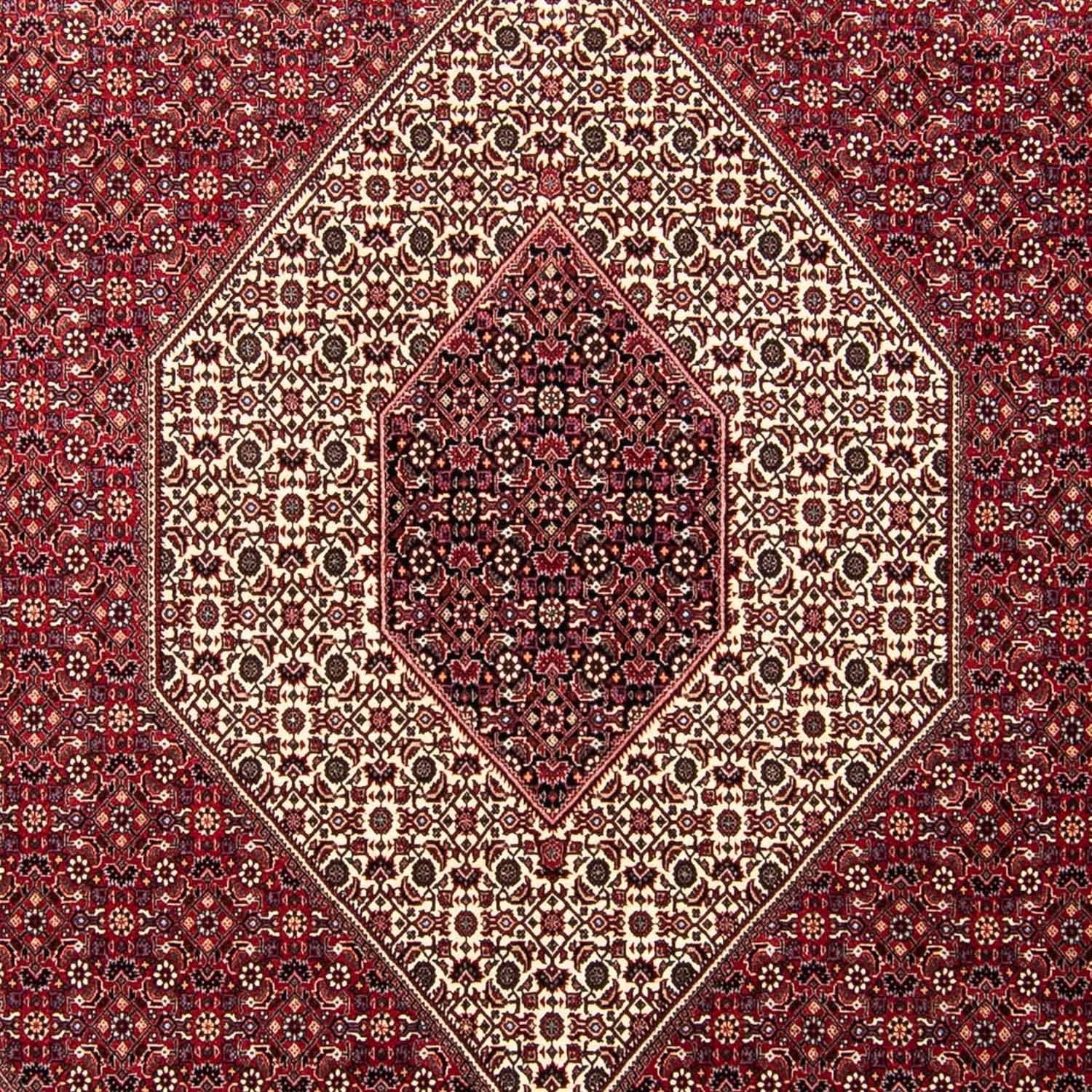 Persisk tæppe - Bijar - 303 x 250 cm - mørkerød