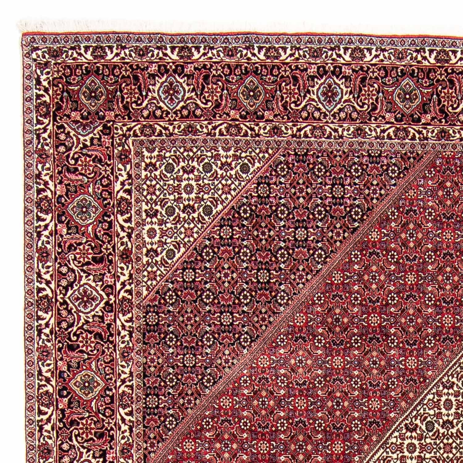 Persisk tæppe - Bijar - 303 x 250 cm - mørkerød