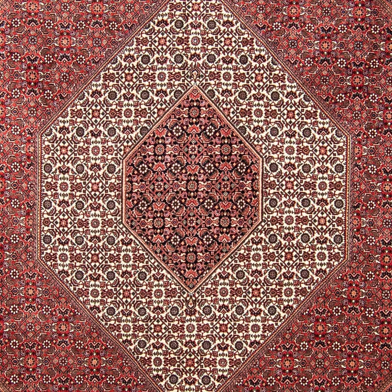 Persisk tæppe - Bijar - 309 x 256 cm - mørkerød