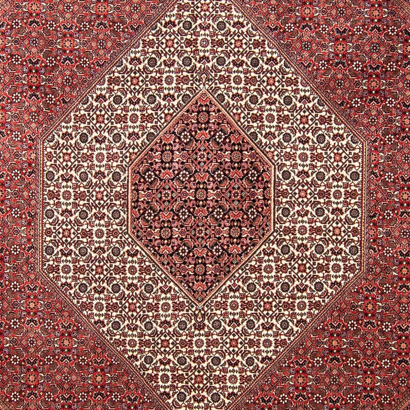 Persisk tæppe - Bijar - 309 x 256 cm - mørkerød