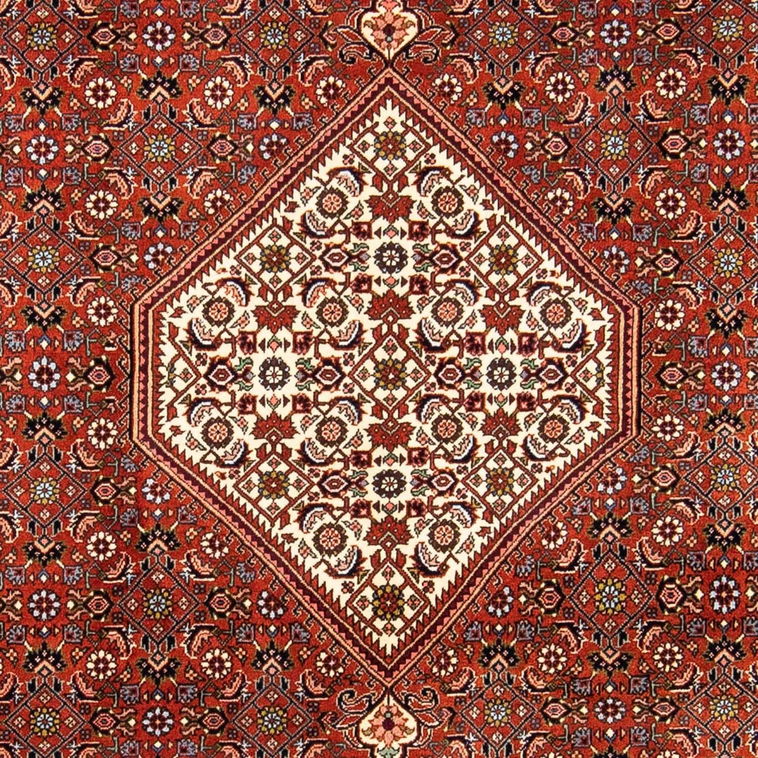 Persisk tæppe - Bijar - 245 x 167 cm - brun