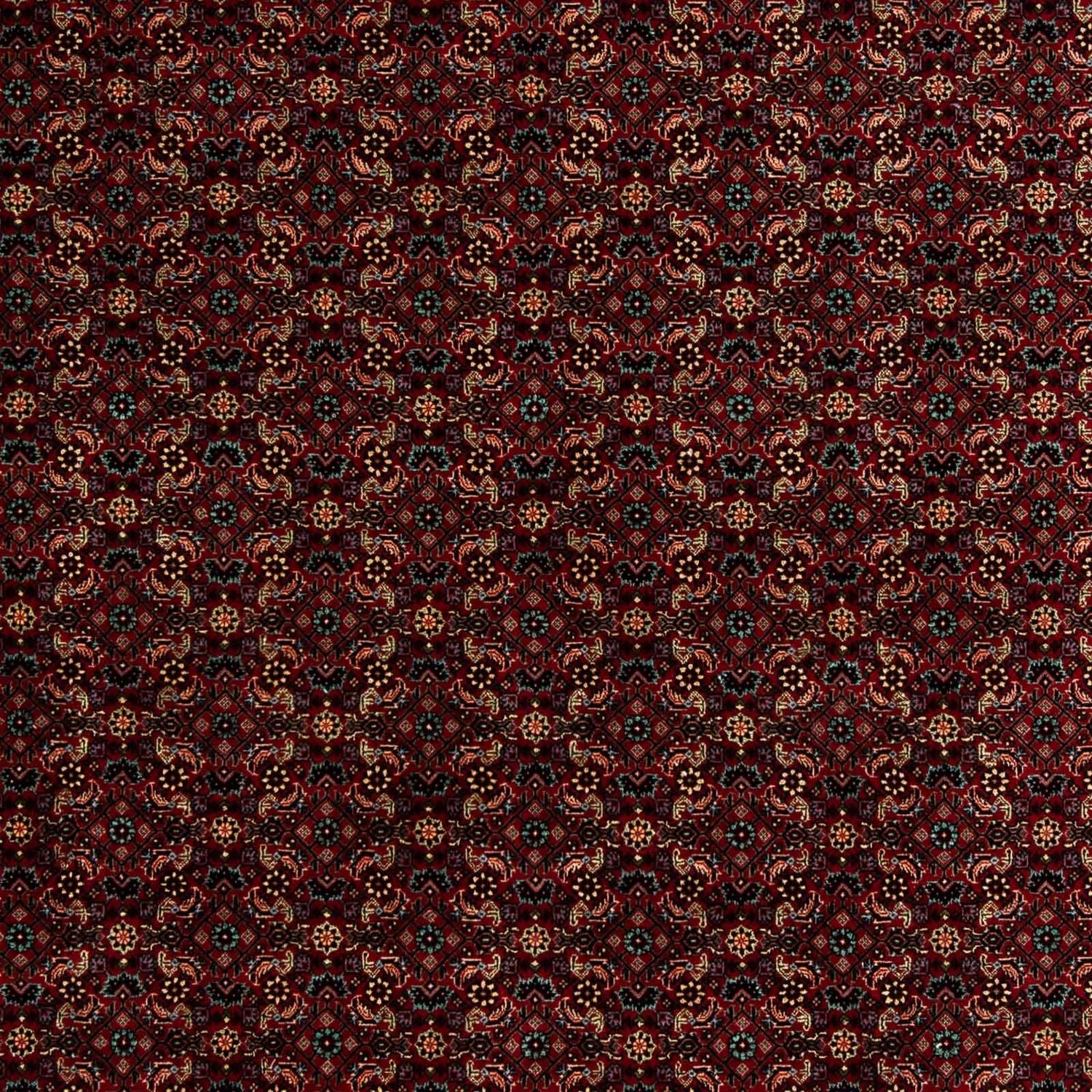 Persisk tæppe - Bijar - 252 x 206 cm - mørkerød