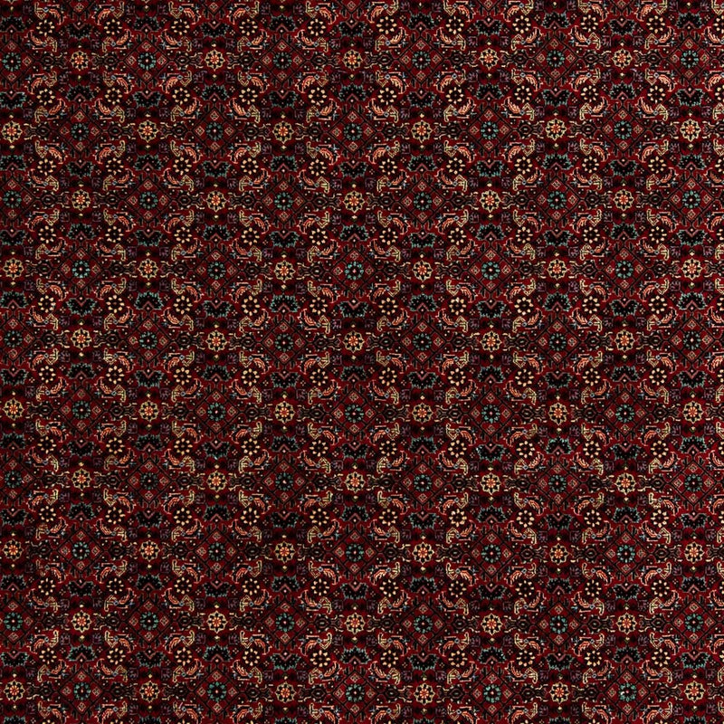Persisk tæppe - Bijar - 252 x 206 cm - mørkerød