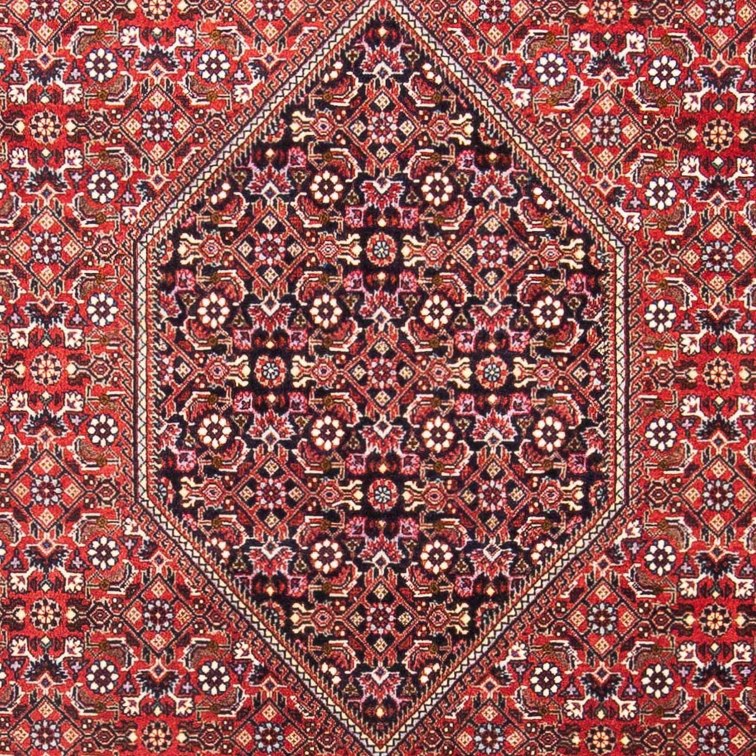 Persisk tæppe - Bijar - 180 x 110 cm - rød