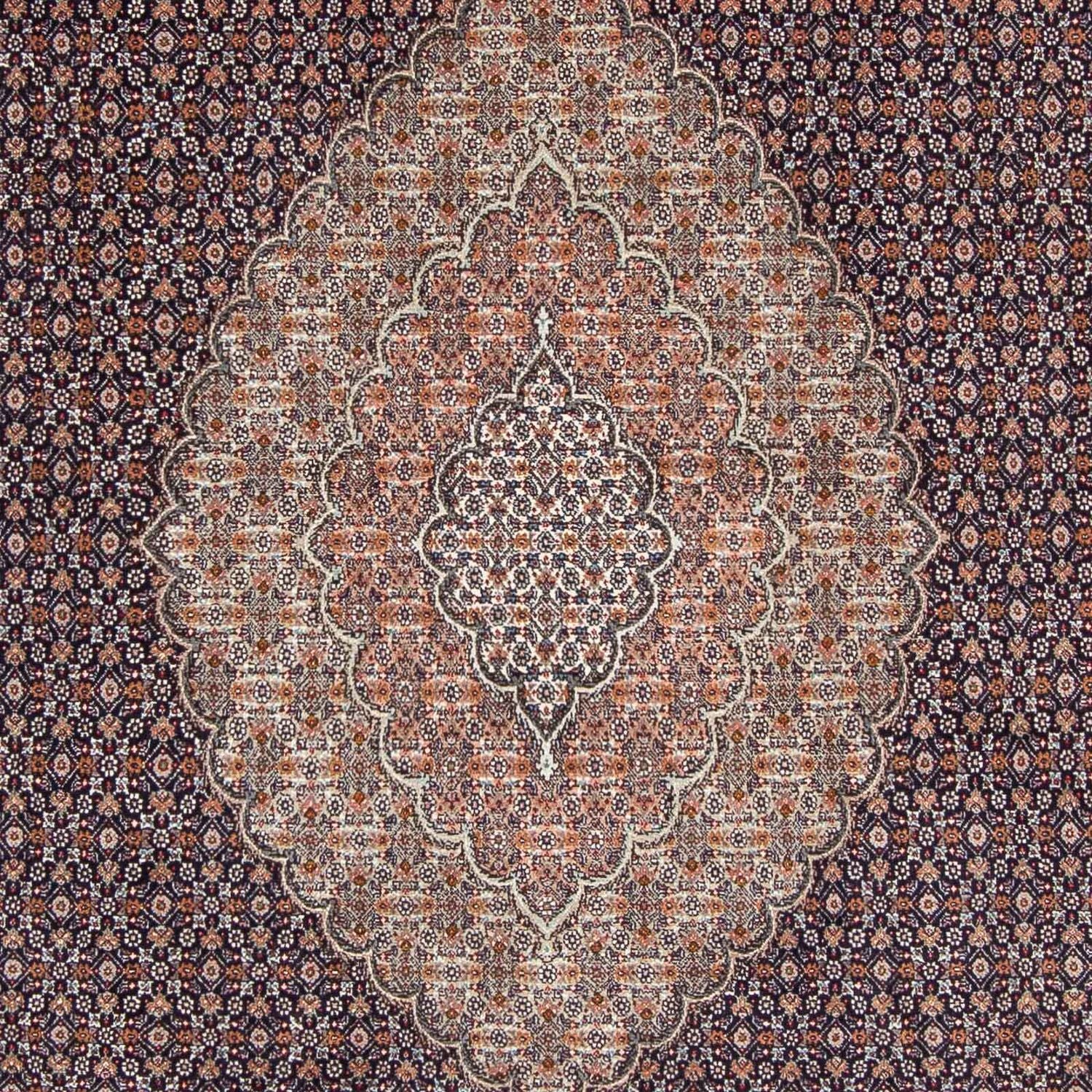 Persisk tæppe - Tabriz - 296 x 207 cm - mørkeblå