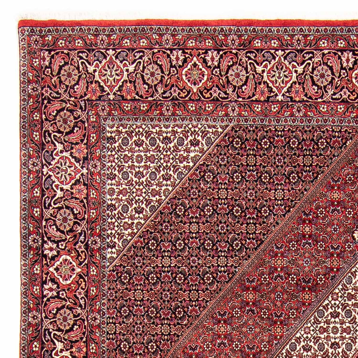 Bidjar Tæppe 250x304cm - Persisk tæppe