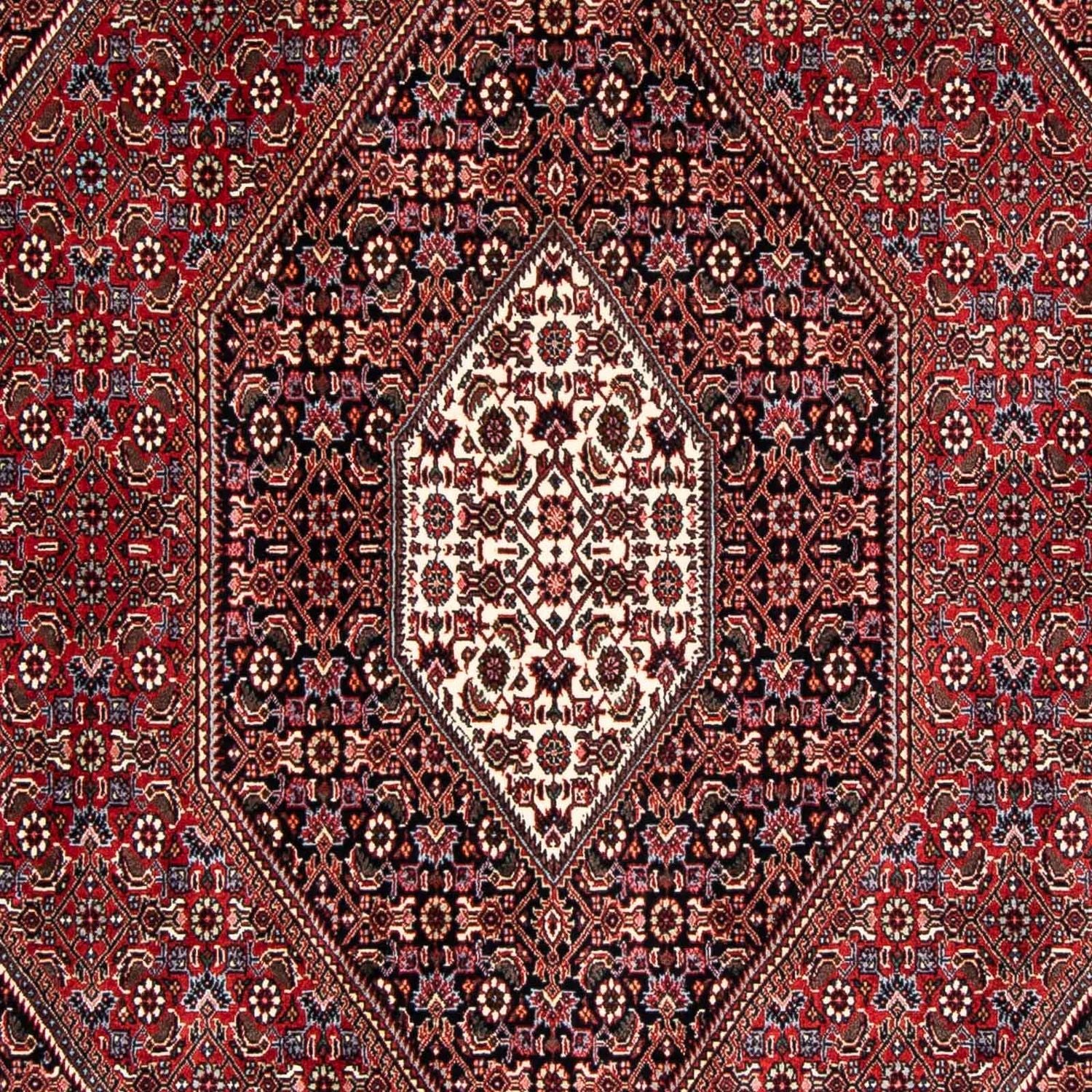 Persisk tæppe - Bijar - 246 x 167 cm - mørkerød