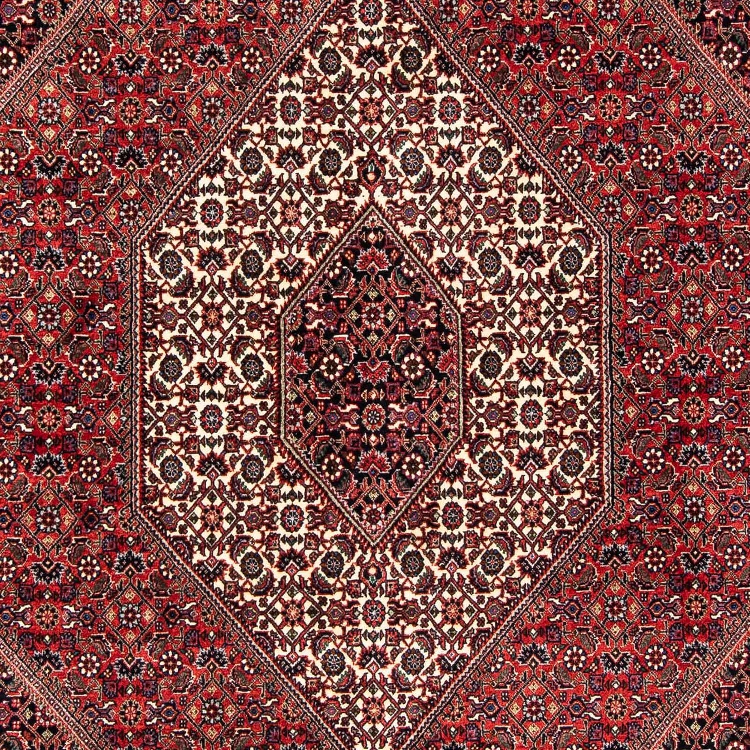 Persisk tæppe - Bijar - 245 x 167 cm - mørkerød