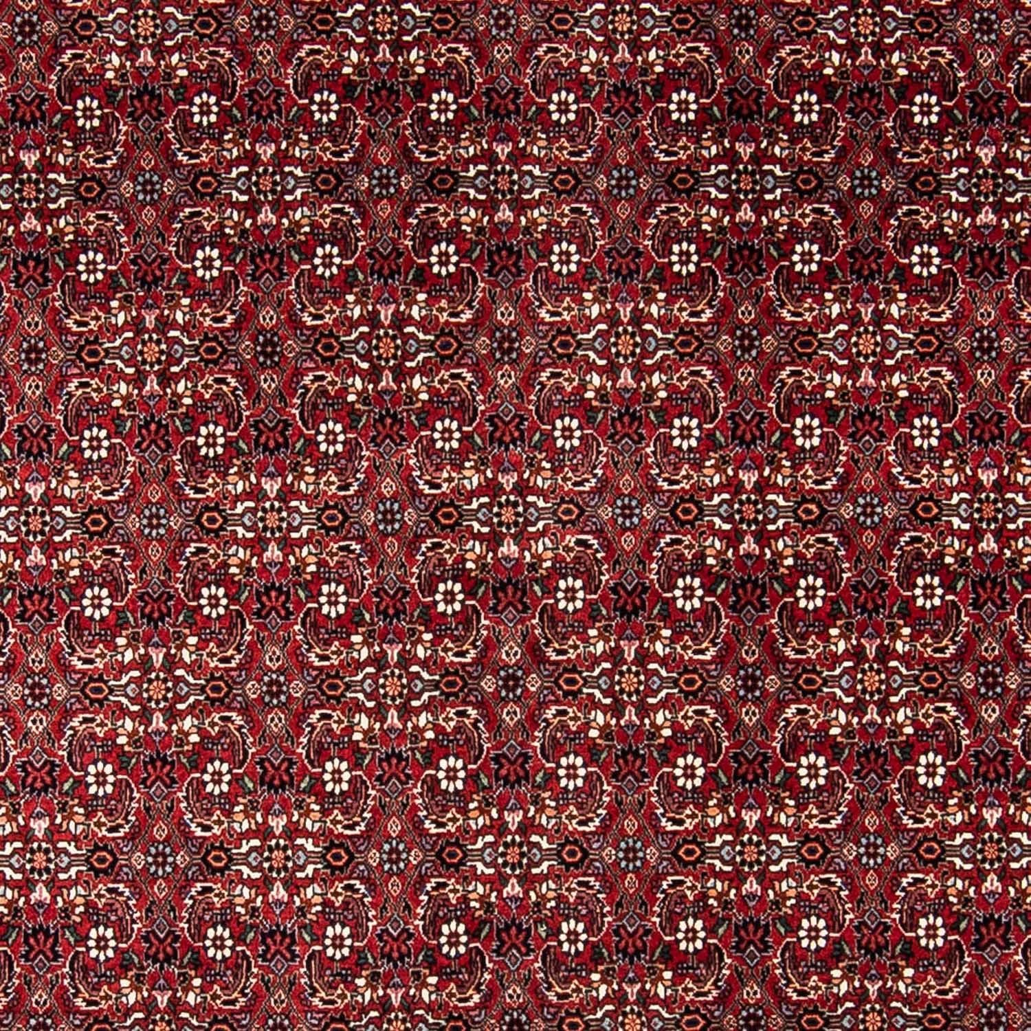 Persisk tæppe - Bijar - 240 x 168 cm - mørkerød