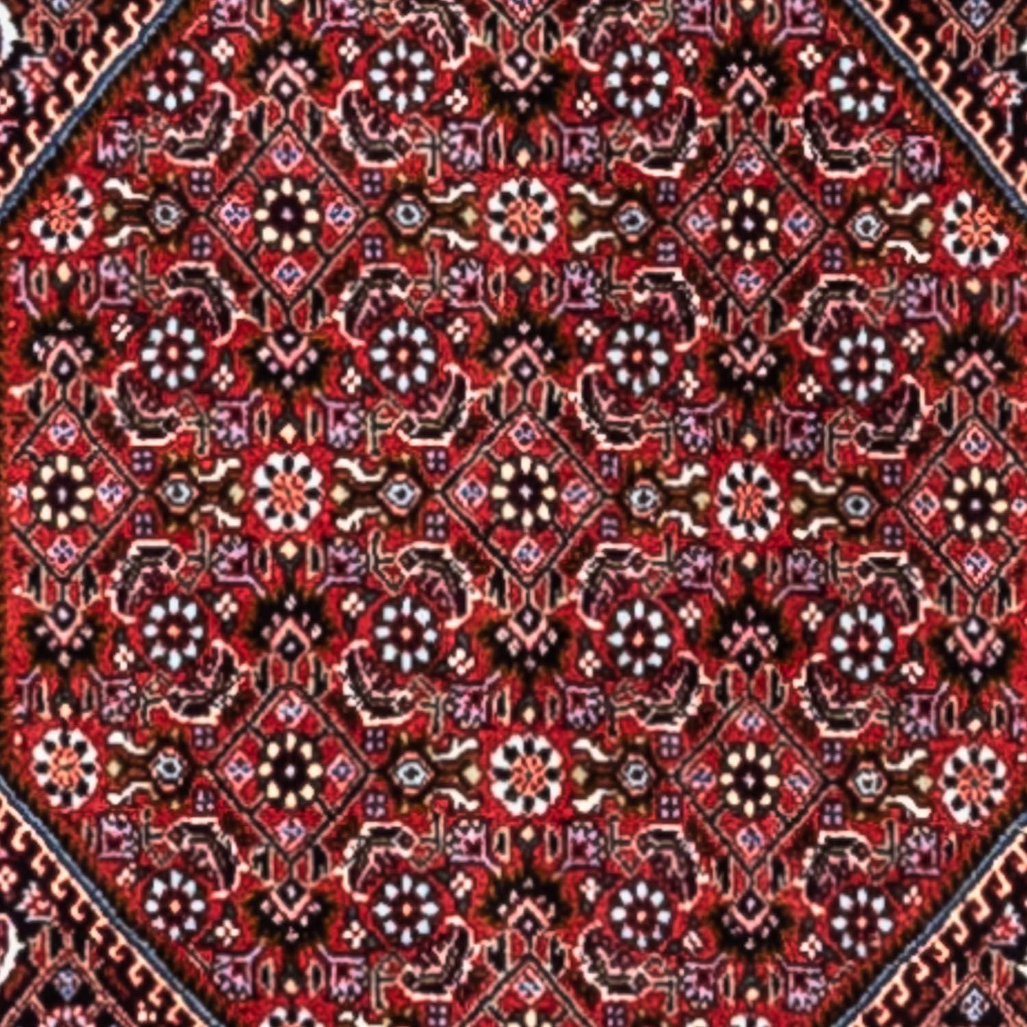 Persisk tæppe - Bijar - Royal - 318 x 200 cm - rød