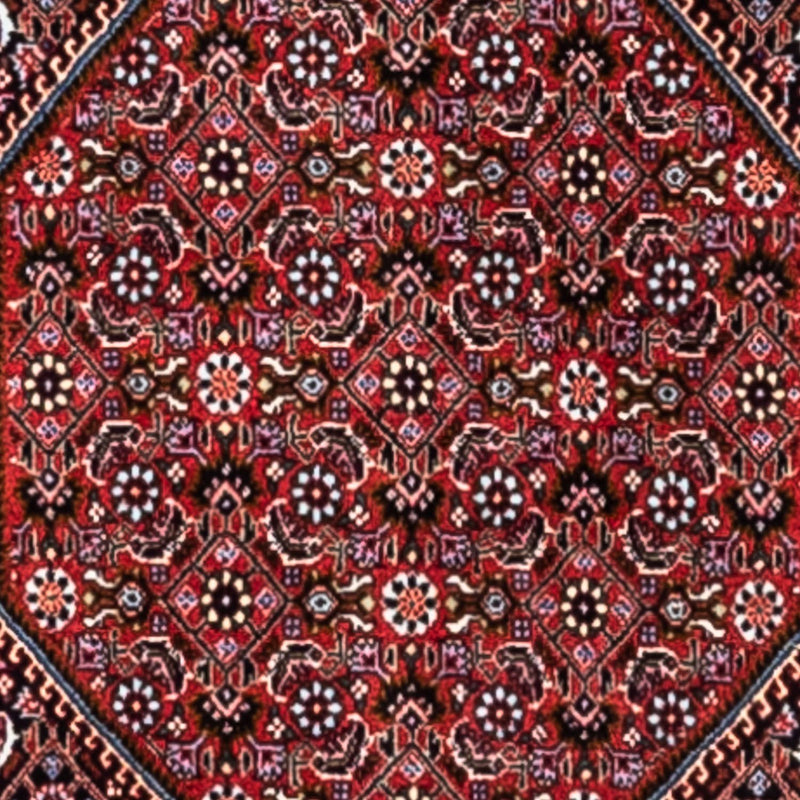 Persisk tæppe - Bijar - Royal - 318 x 200 cm - rød