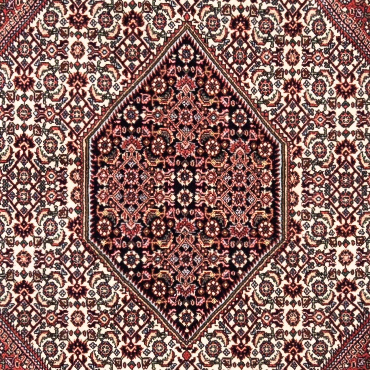 Persisk tæppe - Bijar - Royal - 295 x 200 cm - rød