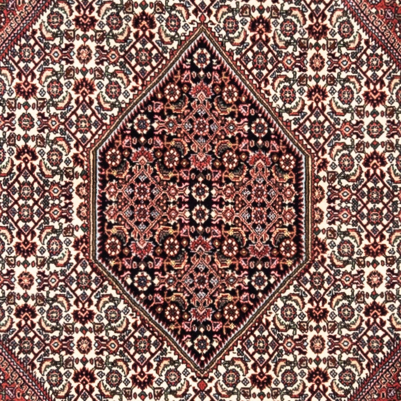 Persisk tæppe - Bijar - Royal - 295 x 200 cm - rød