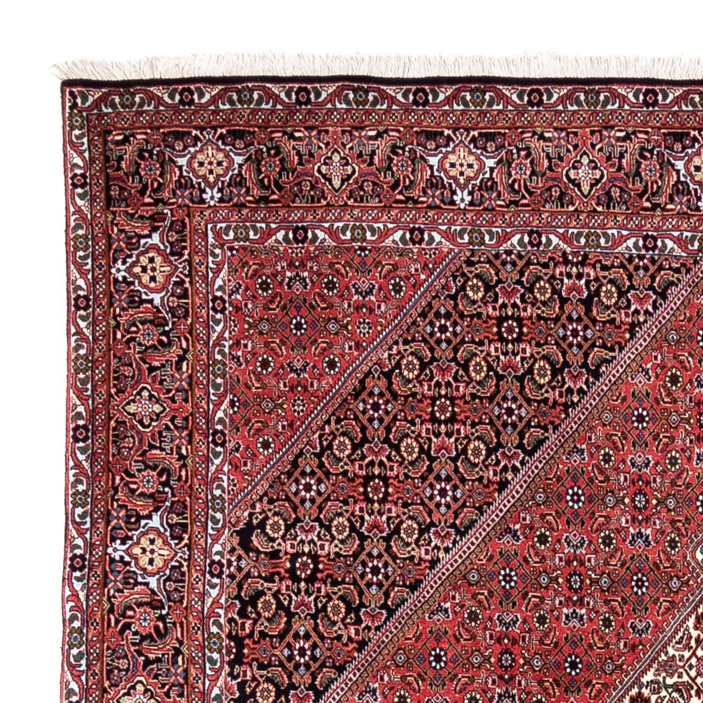 Bidjar - Takab Tæppe 300x200cm - Persisk tæppe