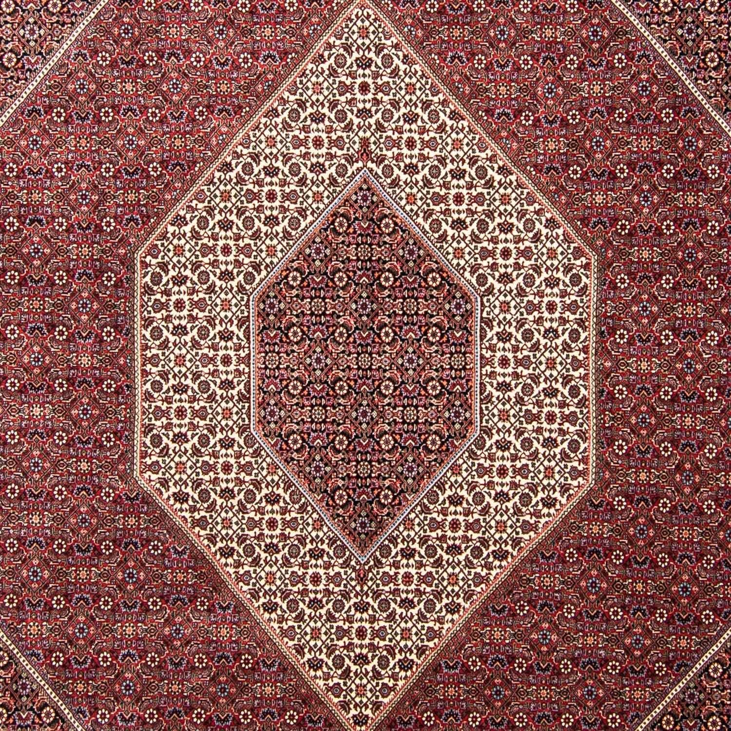 Persisk tæppe - Bijar - 352 x 252 cm - mørkerød