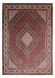 Bidjar Tæppe 350x251cm - Persisk tæppe