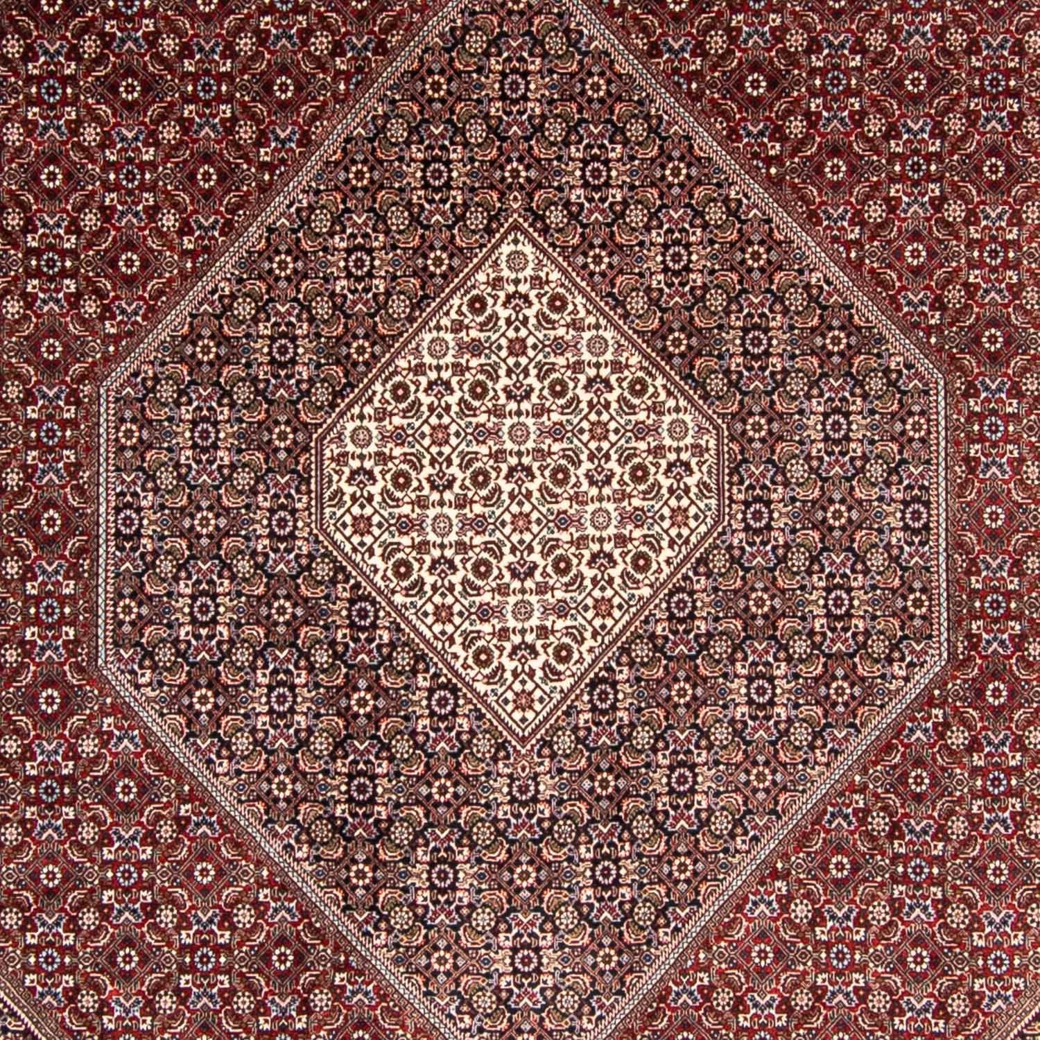 Persisk tæppe - Bijar - 350 x 251 cm - mørkerød